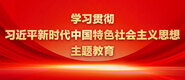 天堂网啊啊啊学习贯彻习近平新时代中国特色社会主义思想主题教育_fororder_ad-371X160(2)